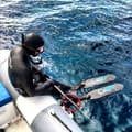 Miniatyrbillede 3 af 4: Spetton Spearfishing Finner Cx Eolo Spearfisher Carbon Quattro Sort EU 46-47