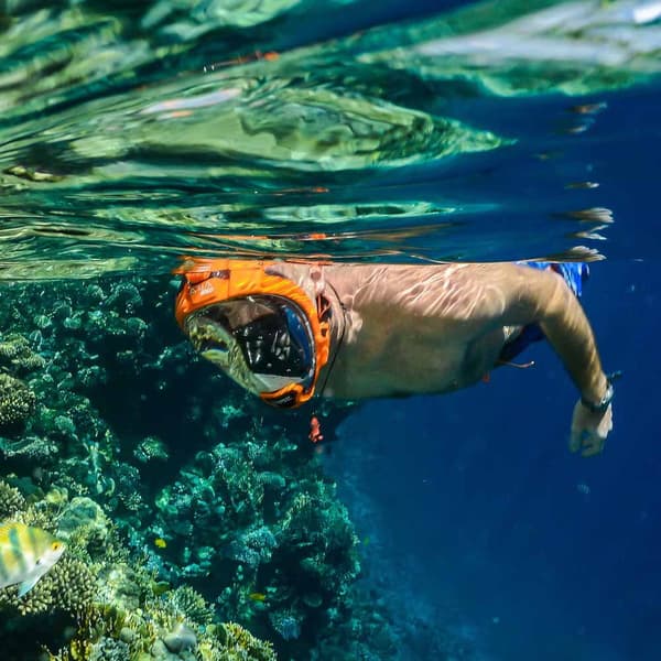 Ocean Reef Ansiktsmask Aria Qr+ Blå S-M