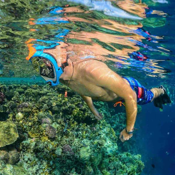 Ocean Reef Ansigtsmaske Aria Qr+ Blå L-XL