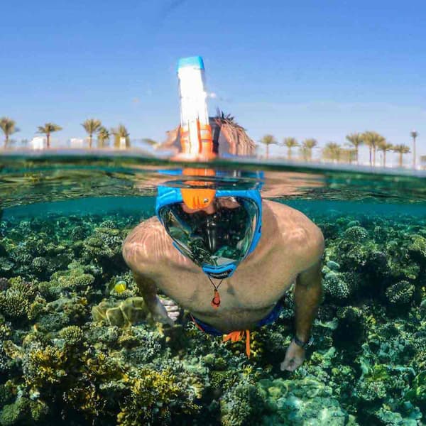 Ocean Reef Ansigtsmaske Aria Qr+ Blå L-XL