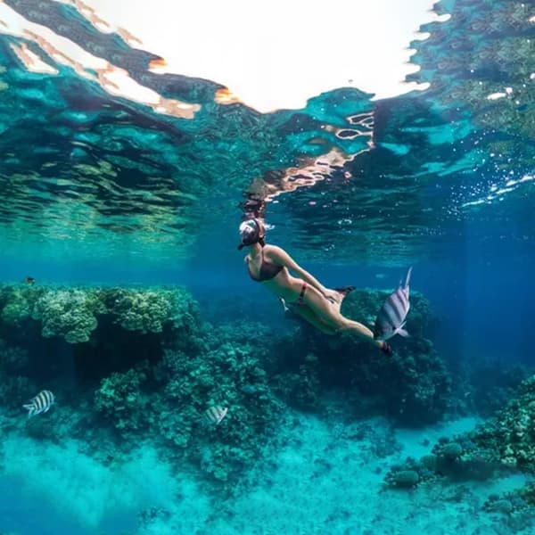 Snorkelmaske Helt dækkende – Snorkling