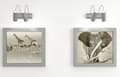 Miniatyrbild 4 av 4: Ankare - enkel fixering Fischer - 548859 - FIXtainer DB +T+ alcayata + gancho (77 u)