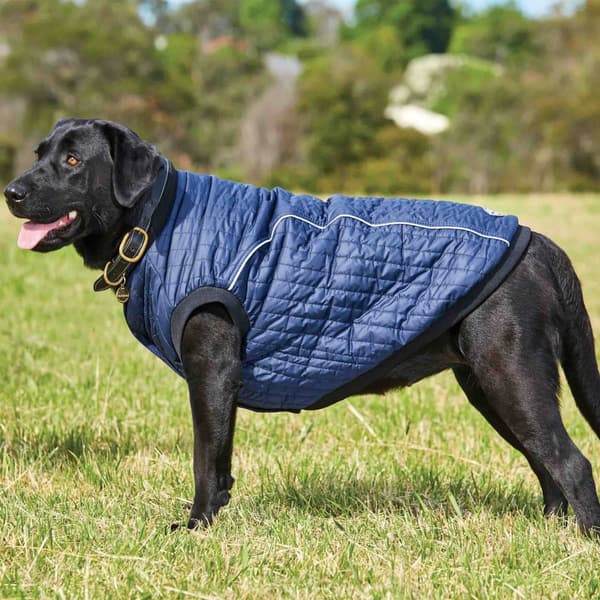 Weatherbeeta Puffer hund kappa