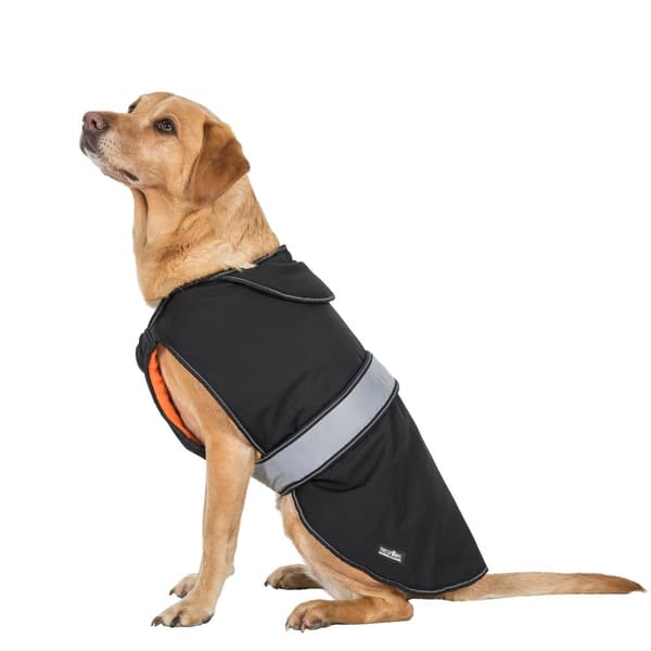 Trespass Butch Touch Fastening Softshell hundjacka Black XXS