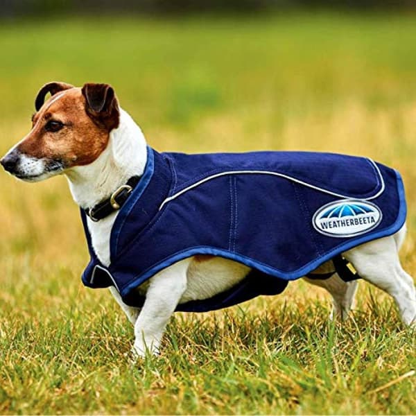 Weatherbeeta 1200d Exercise Dog Coat