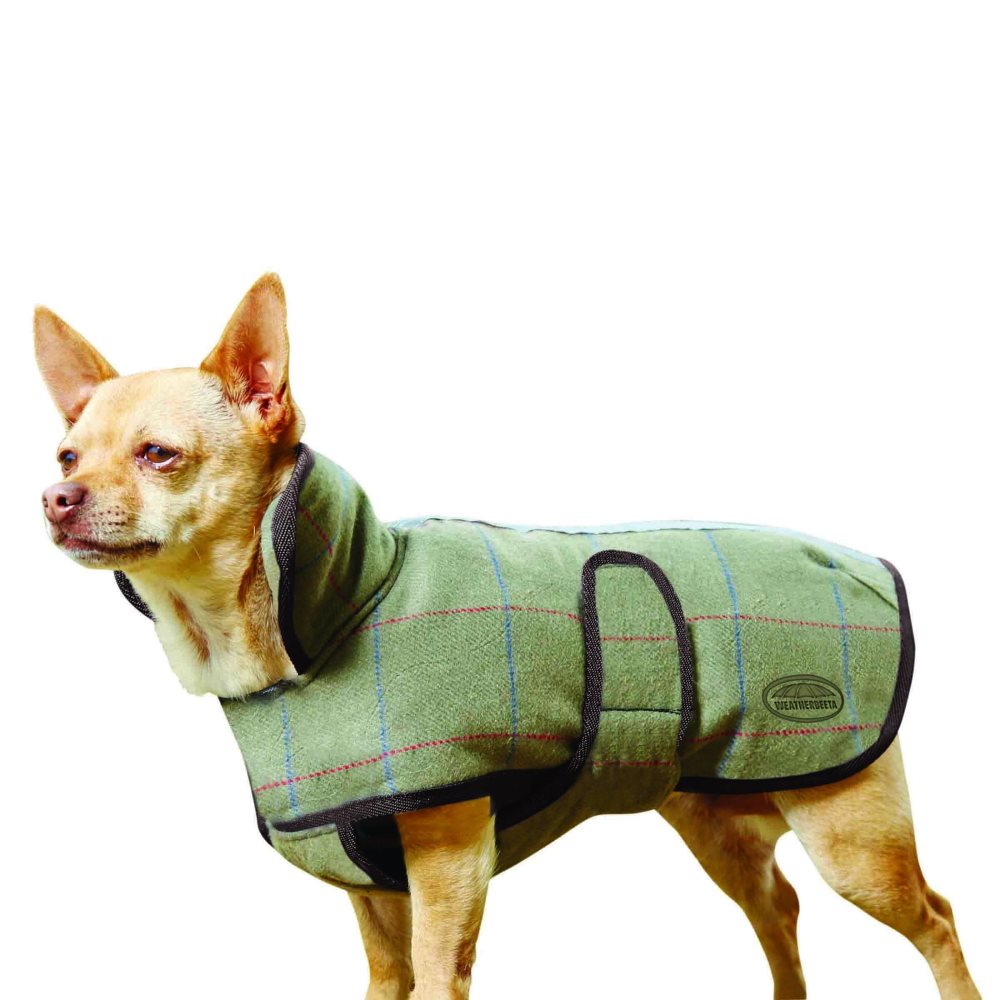 tweed jacket for dogs