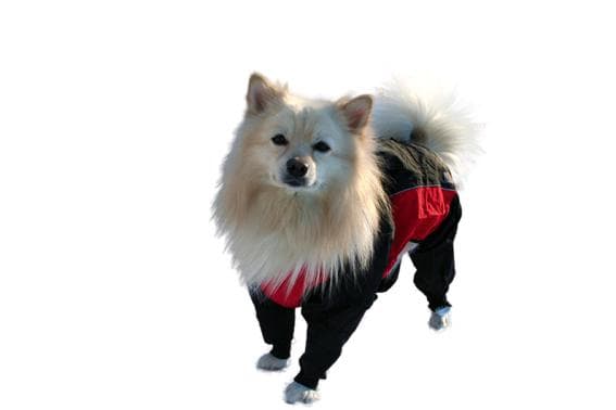 Regnoverall Röd/Svart 52 cm Hundregnoverall Hundkläder