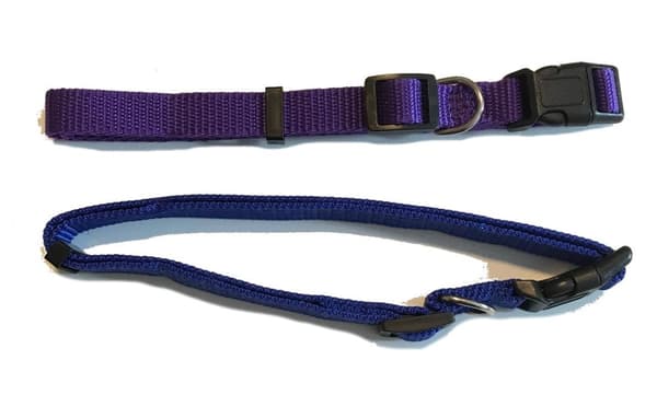 large 2 pack hundhalsband lila blå