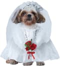Miniatyrbild 1 av 4: Hunddräkt Brud