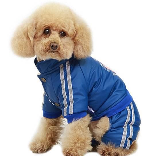 Fodrad Vinteroverall blå med tryck Hundkläder för hunden