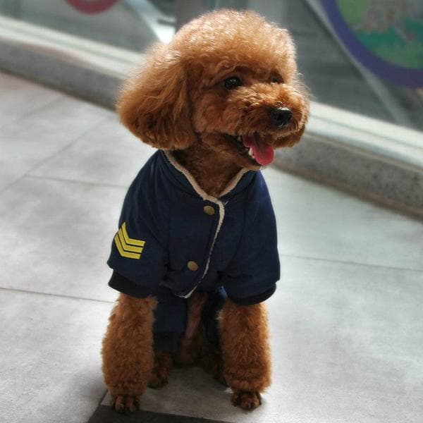 Air Force HundOverall Navy Hundkläder Hundvinteroverall för hund