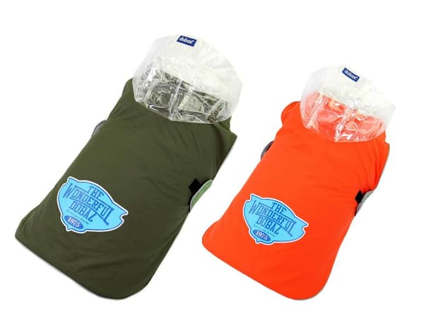 HundRegntäcke i 2 olika färger 4XL 4XL Grön