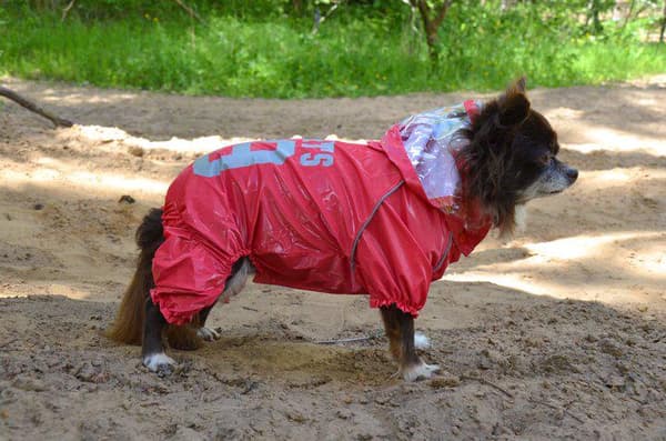 Regnoverall 89 Hundregnoverall för hunden