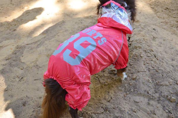 Regnoverall 89 Hundregnoverall för hunden