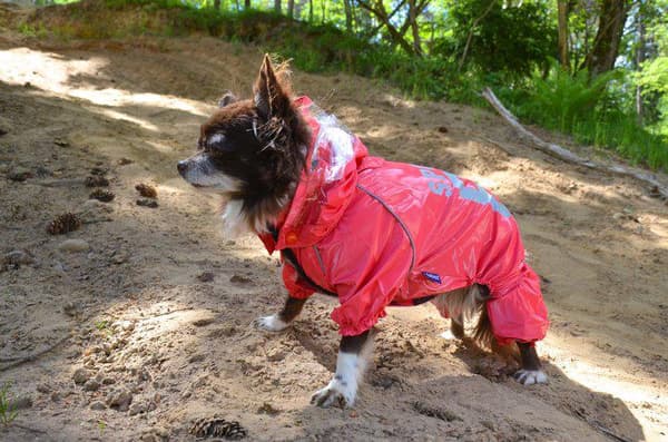 Regnoverall 89 Hundregnoverall för hunden