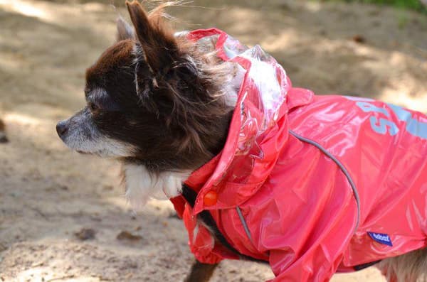 Regnoverall 89 Hundregnoverall för hunden