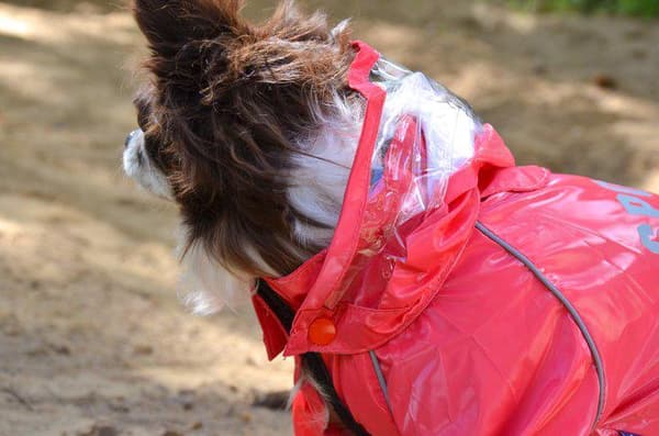 Regnoverall 89 Hundregnoverall för hunden