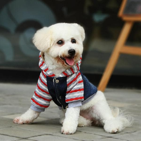 Jeansjacka med Hoodie Hundkläder för hunden