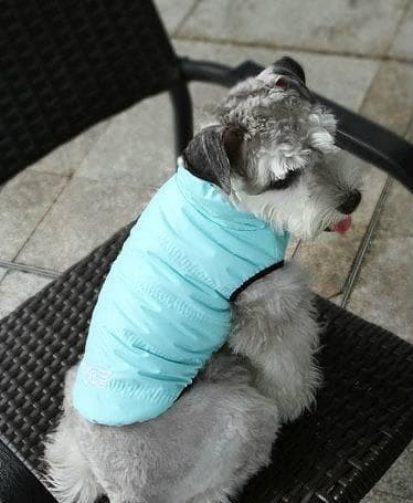 Fodrad HundVäst Hundtäcke Hundkläder
