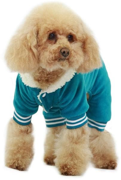 Jumpsuit i plysch Hundkläder för hunden Blå