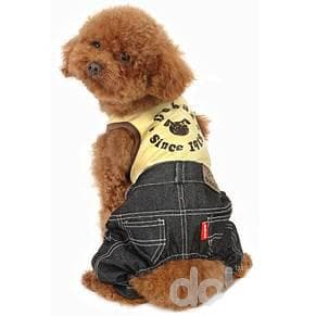 Hundoverall med Jeans och T-shirt Hundkläder