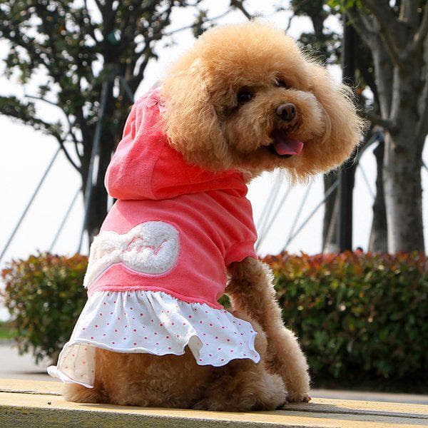 Klänning i sammet Hundkläder Hundklänning Rosa S