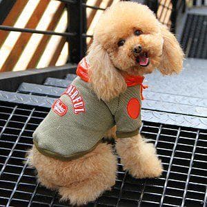 Sportig Hundtröja Hoodie med huva Hundkläder för hunden Brun