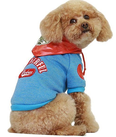 Sportig Hundtröja Hoodie med huva Hundkläder för hunden Blå