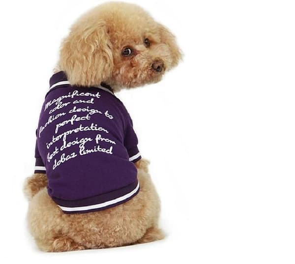 Hundtröja Lila T-shirt hundkläder för hunden