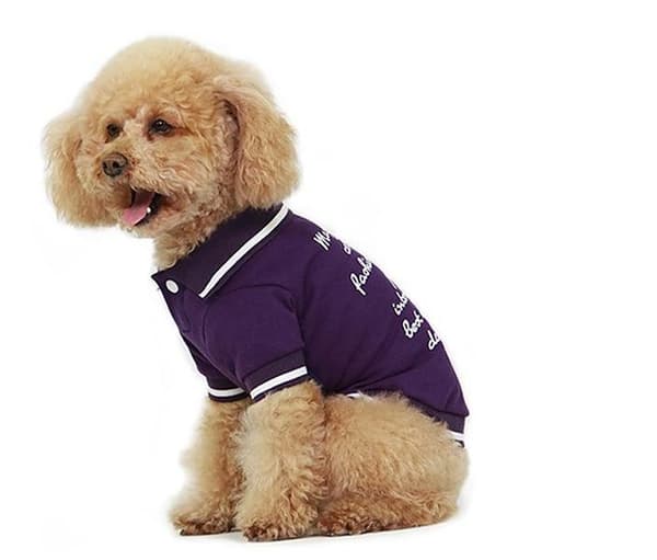 Hundtröja Lila T-shirt hundkläder för hunden Lila S