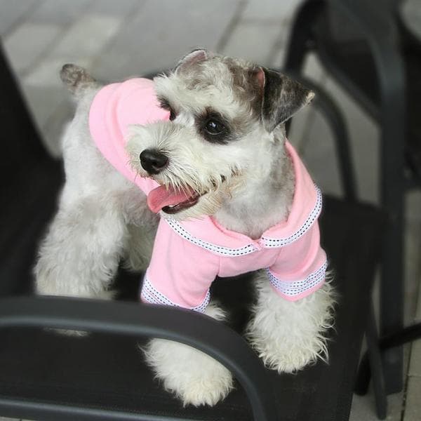 Rosa seglartröja Hundtröja
