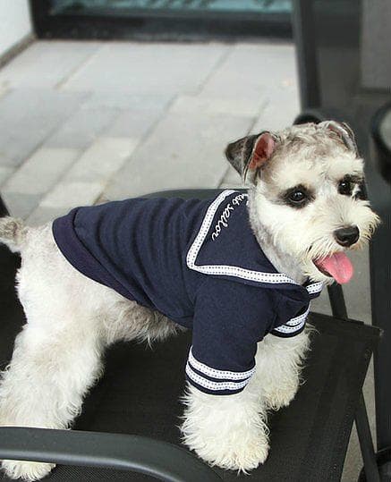 Marinblå seglartröja Hundtröja