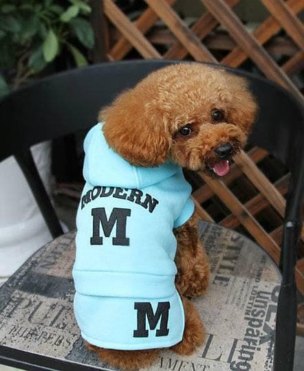 Hoodie Modern M Hundtröja för hunden