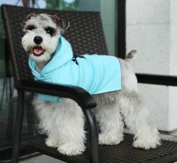 Hoodie Modern M Hundtröja för hunden