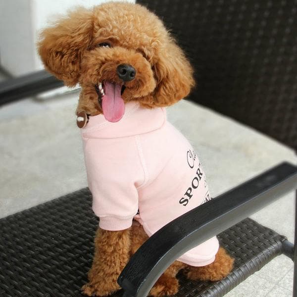 Hundkläder Hoodie Rosa kläder för hunden