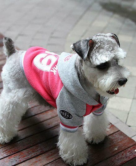 Hundtröja Hoodie med huva hundkläder för hunden