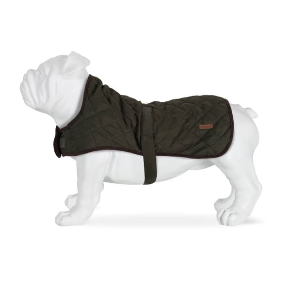 Regatta Odie Quilted Dog Coat