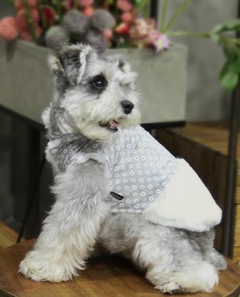 Varm fodrad hundjacka med blommor hundtäcke hundkläder