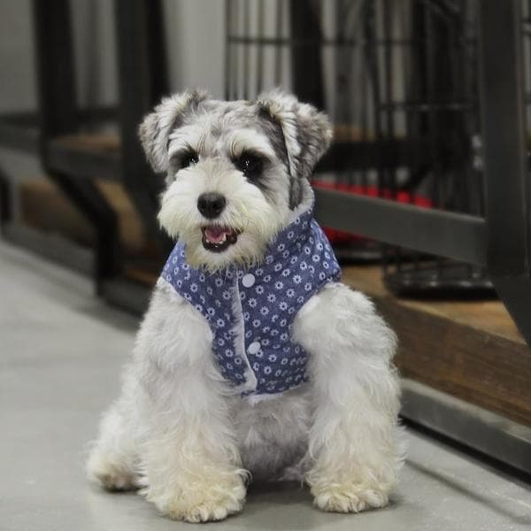 Varm fodrad hundjacka med blommor hundtäcke hundkläder