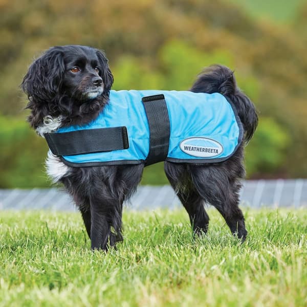 Weatherbeeta Therapy-Tec kølefrakke til hunde