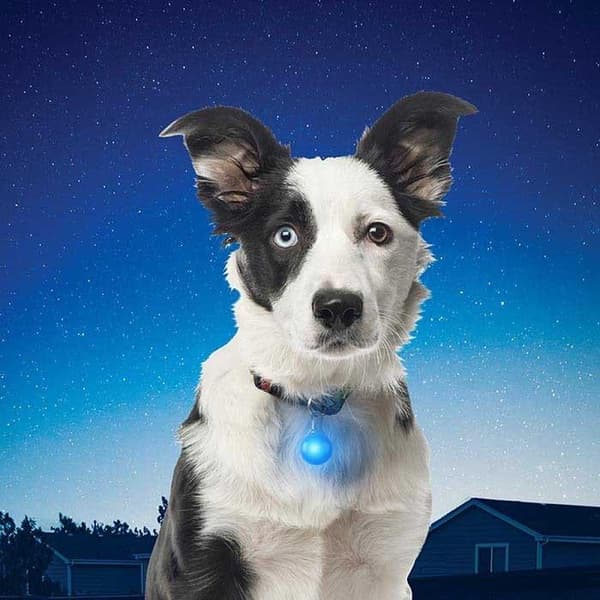 NITE IZE SPOTLIT LED CARBINER, mini led för hundhalsband, led för nyckelring
