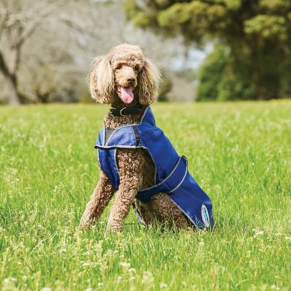 Weatherbeeta Comfitec Windbreaker Free Deluxe Dog Coat