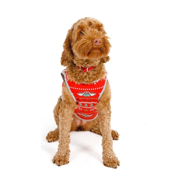 Friends Central Perk Christmas Dog Pyjamas