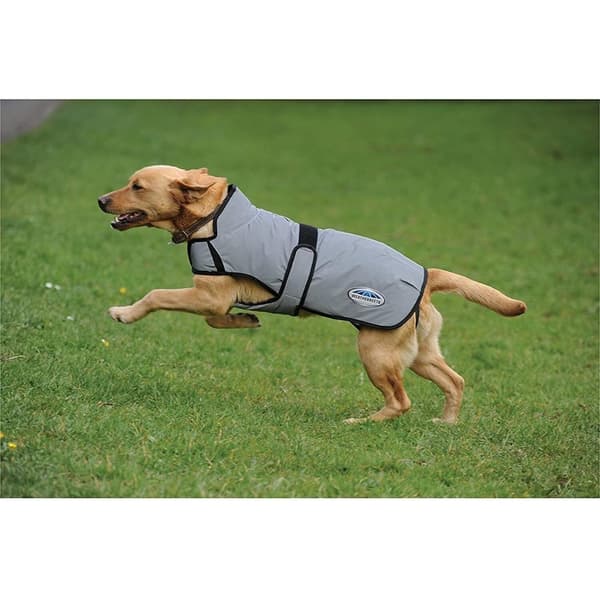 Weatherbeeta Comfitec reflekterende hundejakke