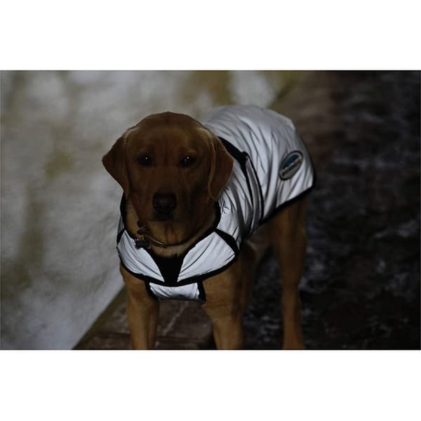 Weatherbeeta Comfitec reflekterende hundejakke