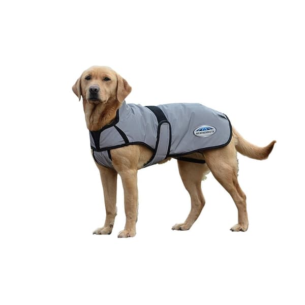 Weatherbeeta Comfitec reflekterende hundejakke Silver 25cm