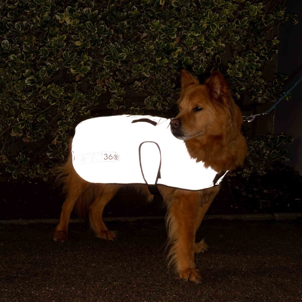 proviz dog jacket