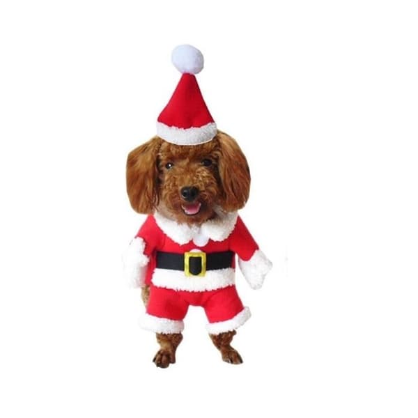 Hundkostym - Ej specificerad - Julkostym - Polyester fodrad - Storlek S/M - Färg Svart
