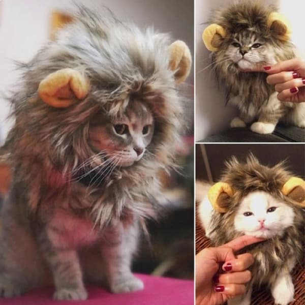 Lejondräkt för katter och små hundar förklädnad * Huvudomkrets: 26-30 cm * Huvhöjd: 13 cm Funktioner:...