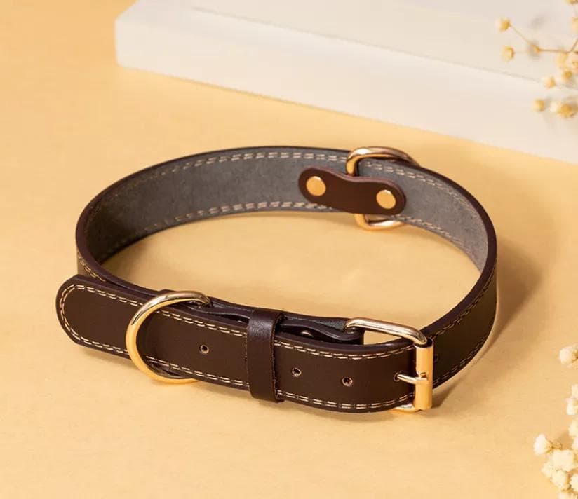 Snyggt halsband i brunt läder med gulddetaljer S-XL storlek